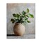 Stupell Industries Potted Green House Plant Canvas, design by Petal Prints Design